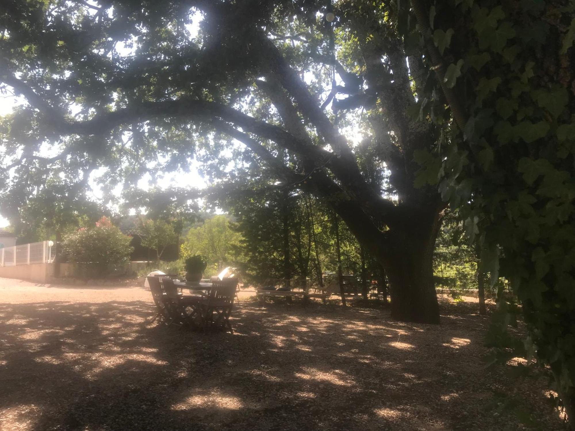 Du Vieux Chene *